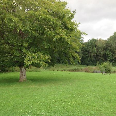 Le Colombier De La Graverie Senots Exteriör bild