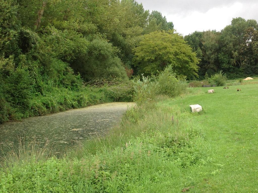 Le Colombier De La Graverie Senots Exteriör bild